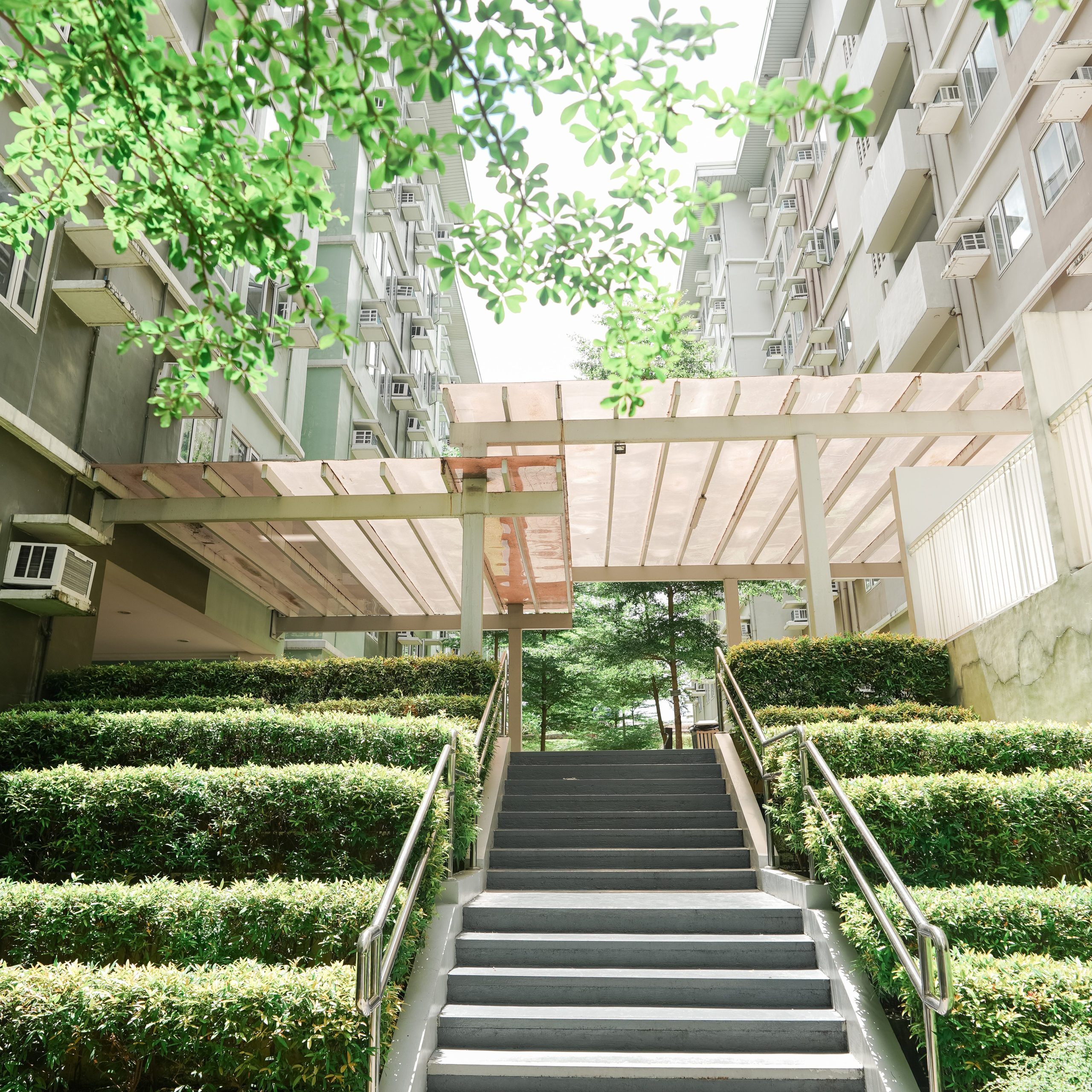 The staircase leading to the Mulberry building and bushes on both sides.