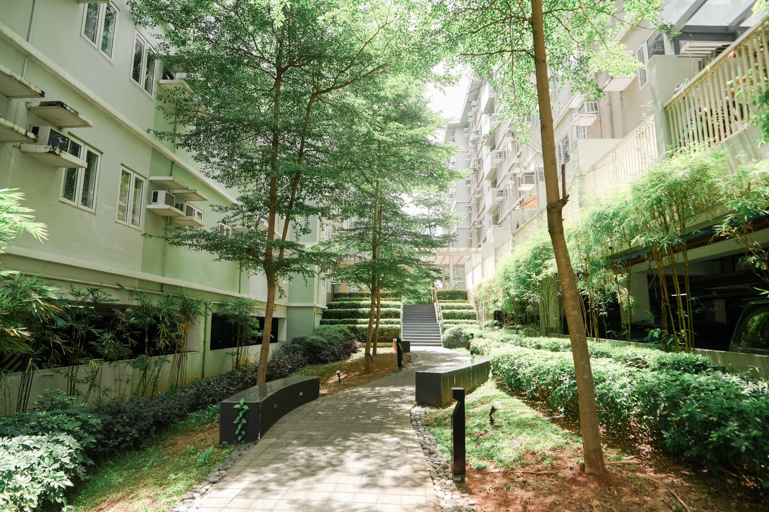 A walking trail towards the Mulberry building with large trees on the side and a staircase at the end.